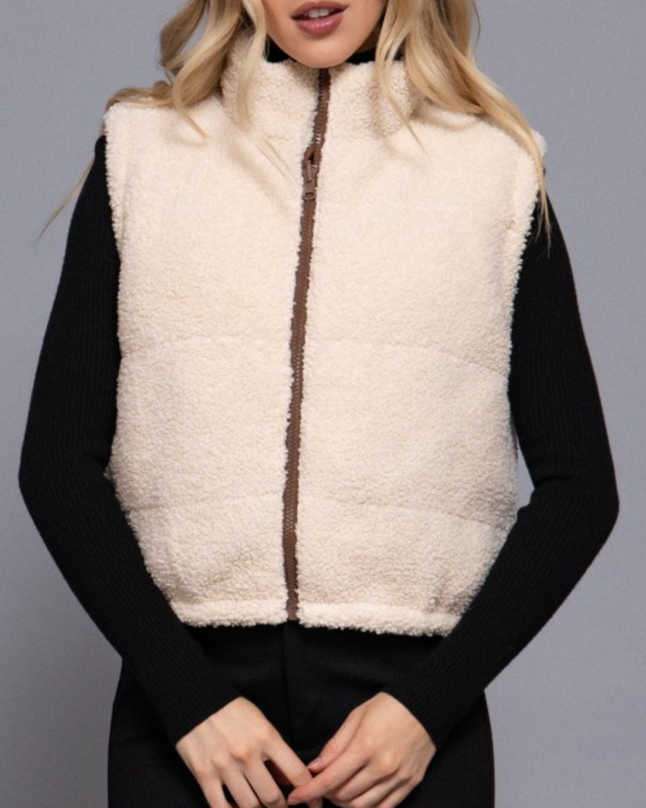 cloud nine reversible vest: brown