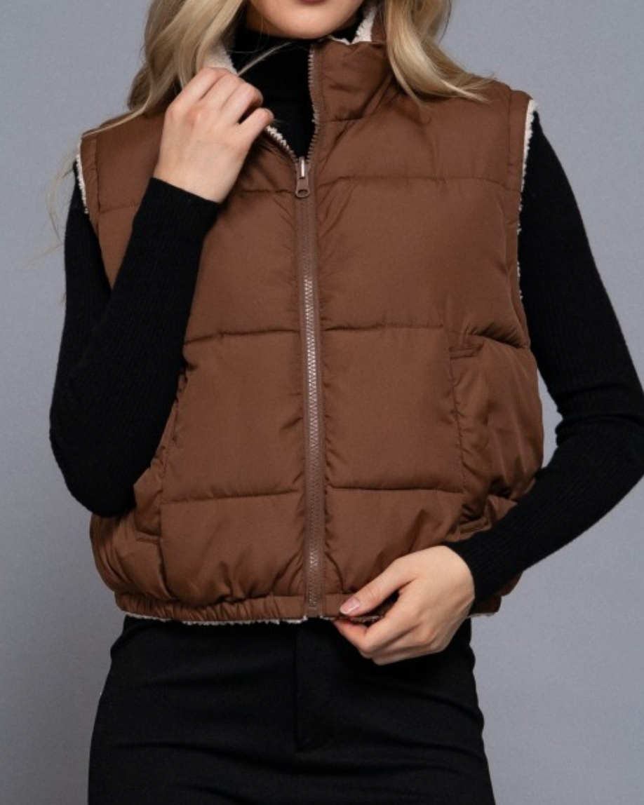 cloud nine reversible vest: brown