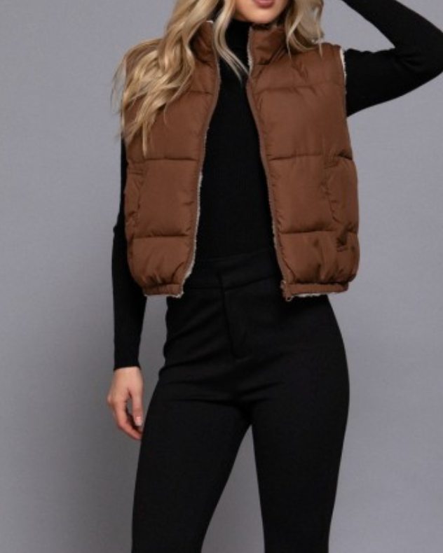 cloud nine reversible vest: brown